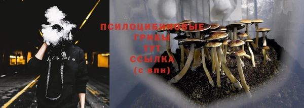 амф Абаза
