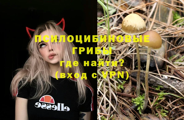 амф Абаза