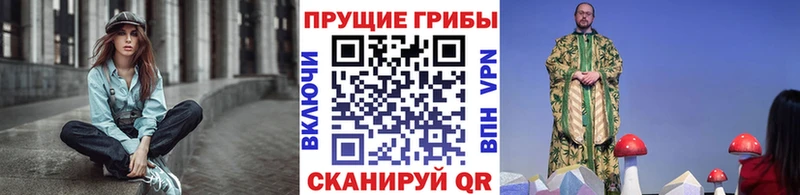 Галлюциногенные грибы Cubensis  Сусуман 